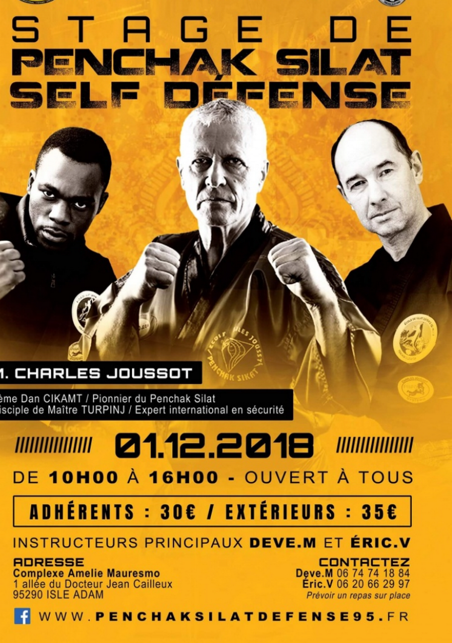 PENCHAK SILAT 2018 12 01