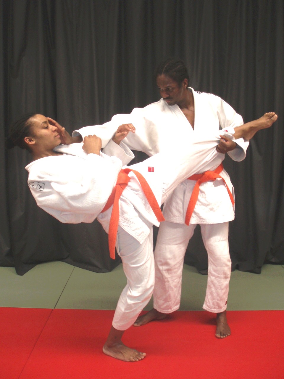 2010 02 23 Cours Nihon Tai Jitsu 017